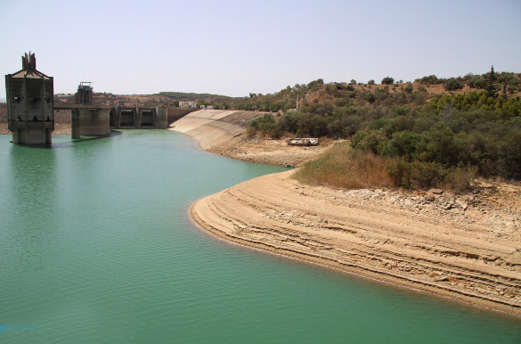 في انتظار تساقطات الخريف..  نسبة التعبئة بالسدود لا تتجاوز 30 % وخطر الجفاف والعطش مازال قائما